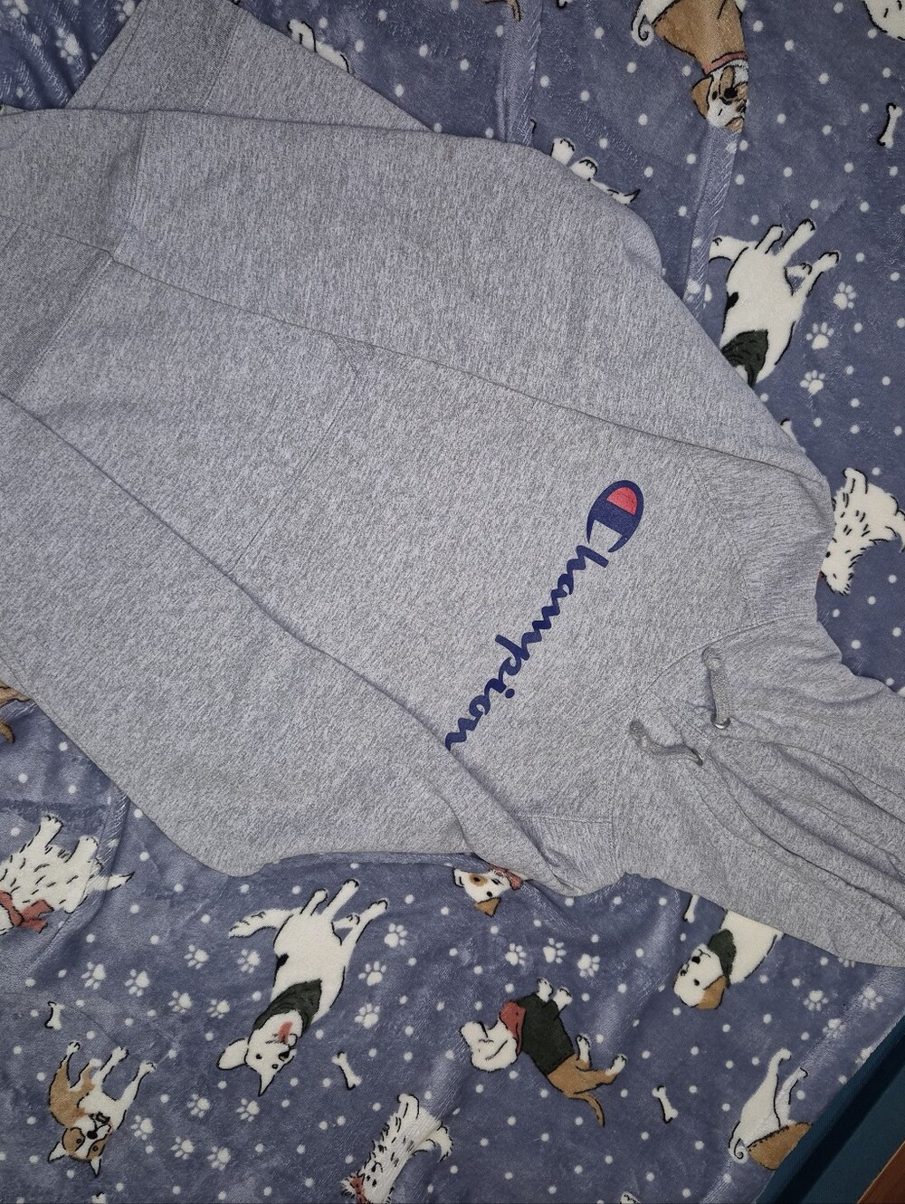 Champion Gray Hoodie with Blue and Red Logo
